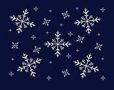 navy with snowf...